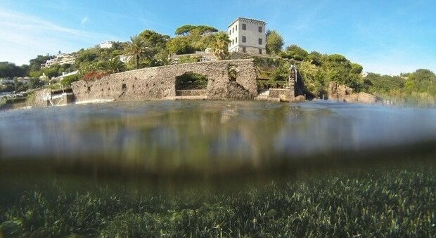 La città sommersa di Aenaria nella baia di Cartaromana a Ischia