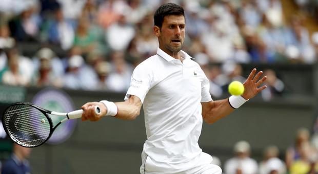 Wimbledon, Djokovic è il primo semifinalista: spazzato via Goffin