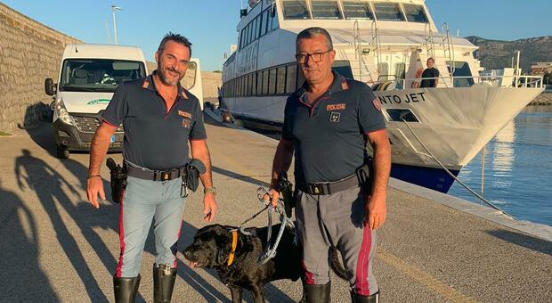 Cane cade in mare al porto di Terracina, salvato dalla Polizia stradale