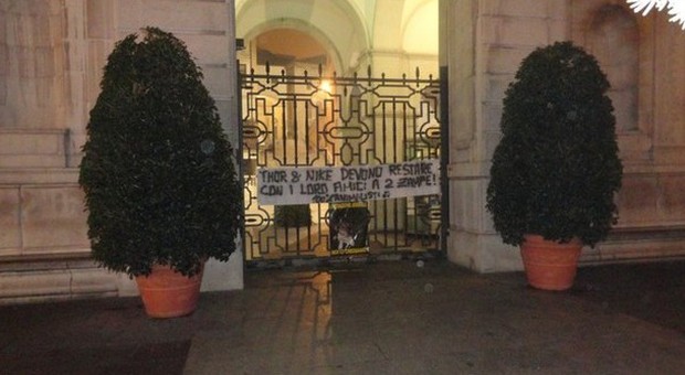 «Lasciate ai vigili i loro due cani», blitz animalista a Palazzo Moroni