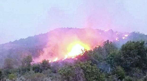 Roghi boschivi, ore di paura nel Cassinate: fiamme ad Esperia e Villa Santa Lucia