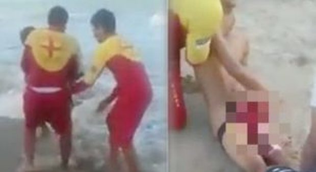 Attaccato da una squalo mentre nuota, 18enne muore dissanguato