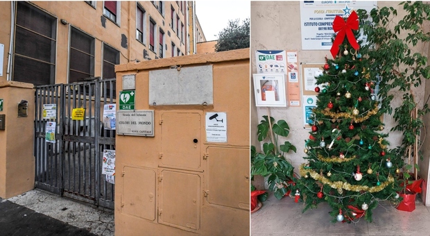 Roma, rubano l'albero di Natale dall'atrio della scuola nel quartiere Trieste. «I bambini lo adoravano»