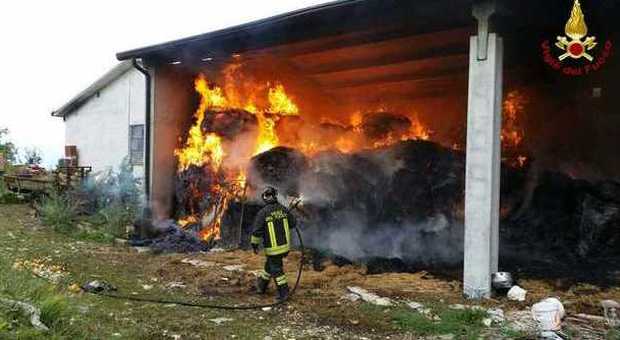 A fuoco la stalla, si ferisce per salvare gli animali: super lavoro per i pompieri 300 quintali di fieno vanno in cenere