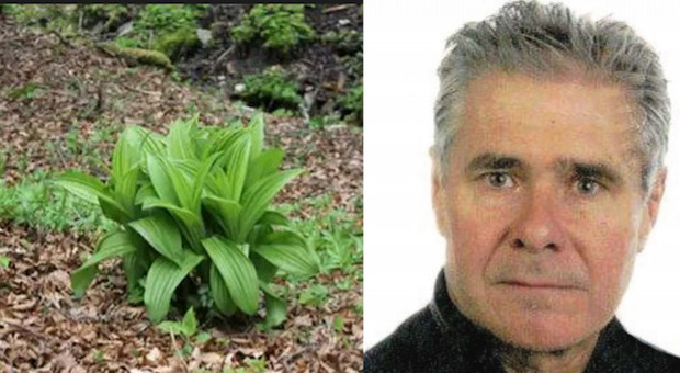 Il 62enne Valerio Pinzana e la pianta incriminata