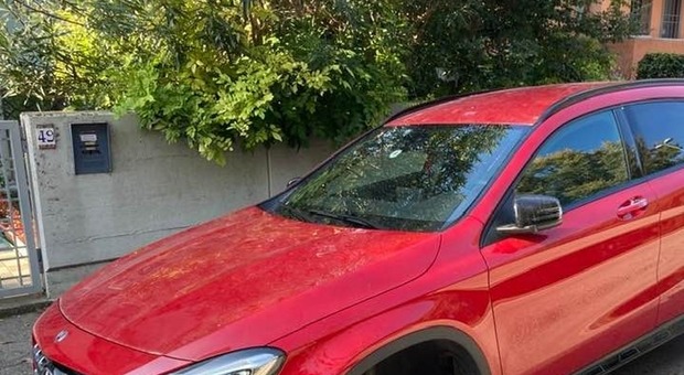 La Mercedes depredata dai ladri di autoricambi in via De Polzer a Rovigo