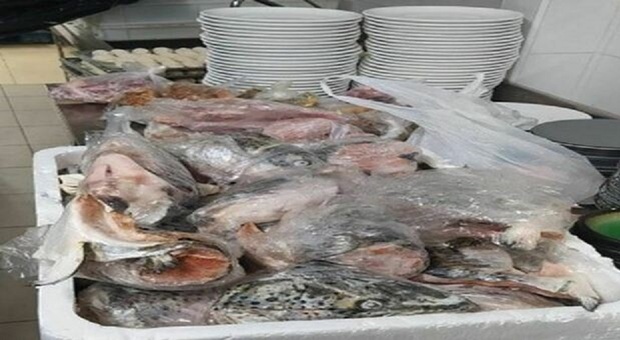 Ristorante “all you can eat”, lavoratori in nero e 80 chili di pesce e carne scaduti: maxi multa dopo il blitz