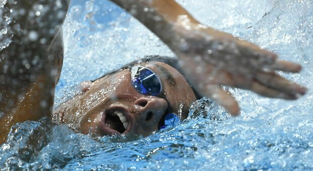 Paltrinieri oro agli Europei di nuoto, vince i 5 km in acque libere a Ostia. Secondo l'azzurro Acerenza