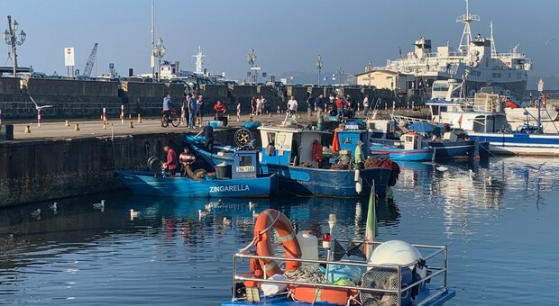 ll fronte dei pescatori: «Abituati al bradisismo, non lasciamo Pozzuoli»