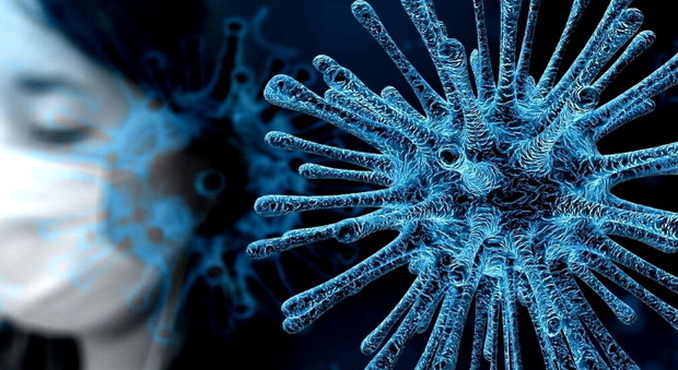 Molecola naturale uccide il virus. Cnr: «Bloccata proteina chiave». Quercetina abbonda nei capperi