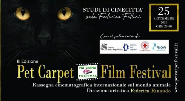 Il cinema e il mondo animale si incontrano per la III edizione del Pet Carpet Film Festival