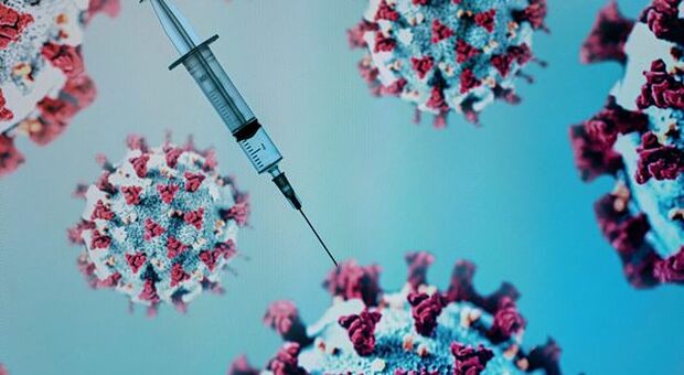 Covid, team scienziati italiani propone piante "biofabbrica" per produrre vaccini e anticorpi