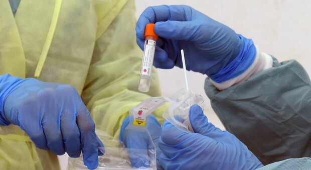 Ultime lettere ai no vax, pronta la commissione: parte l esame dei casi dei sanitari maceratesi non immunizzati