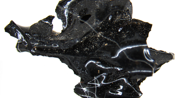 Straordinaria scoperta a Ercolano: trovato il cervello di una vittima dell'eruzione del 79 d.C.