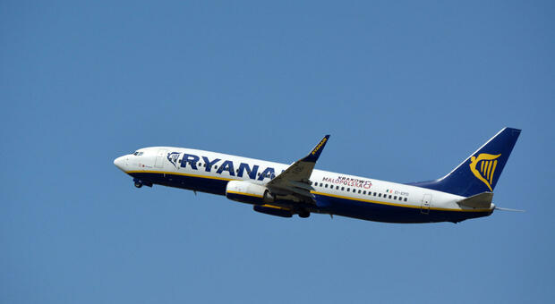 Ryanair, tragedia sfiorata: «Due aerei stavano per scontrarsi in volo». Il documento chocRyanair, tragedia sfiorata: «Due aerei stavano per scontrarsi in volo». Il documento choc