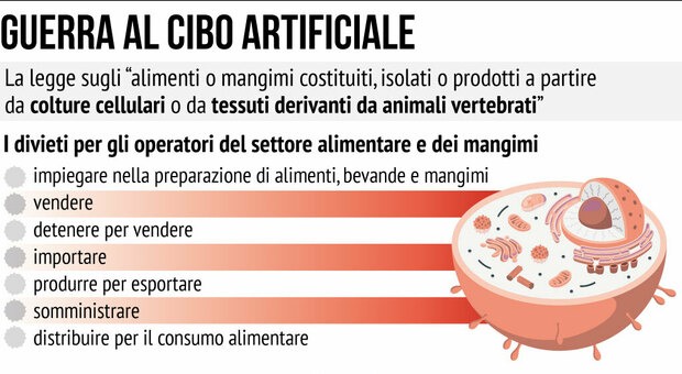 Carne coltivata vietata in Italia: legge promulgata da Mattarella e notificata alla Ue