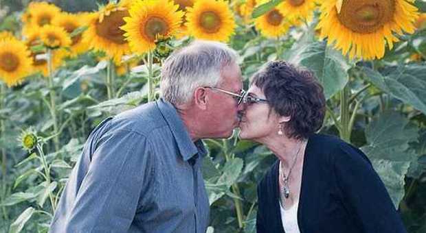 La sua amata moglie muore di cancro, lui pianta 4.500 girasoli in sua memoria