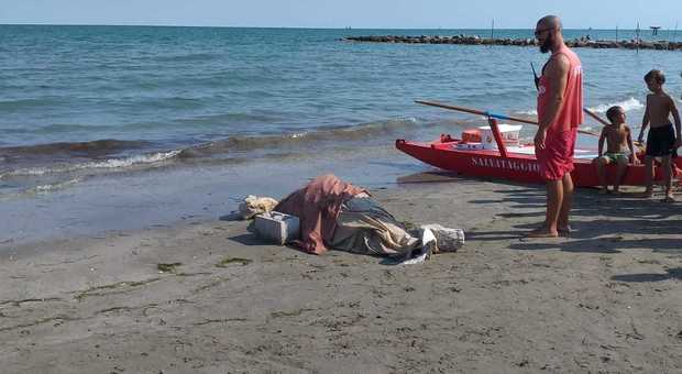 Brutta sorpresa in spiagia: un delfino morto portato dalla corrente