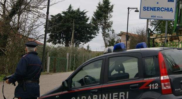 Topi di appartamento messi in fuga dai carabinieri