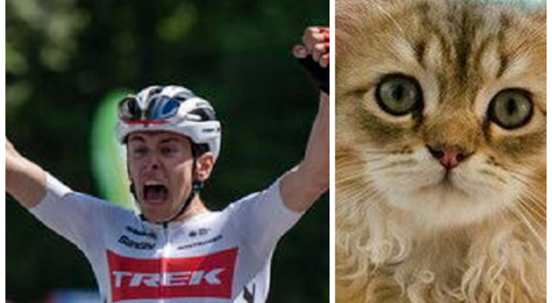 Campione di ciclismo spara e uccide il gatto di un ministro di San Marino. La denuncia: «Togliamogli la residenza»