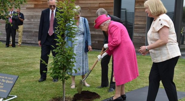 La Regina Elisabetta a 93 anni pianta un albero e rifiuta ogni aiuto: «Posso ancora farlo da sola»