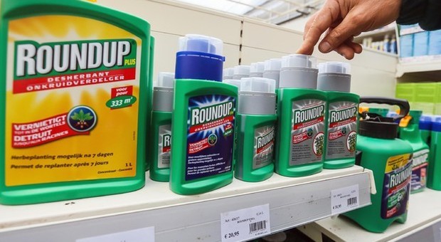«Diserbante Roundup causa il cancro»: boom di cause contro Bayer, rischio esborso 10 mld dollari