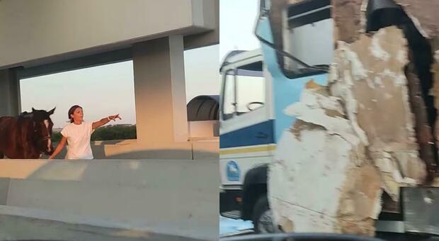 Ragusa, si rompe il camion e l'autostrada è invasa dai cavalli: il video fa impazzire il web