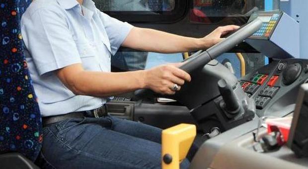 Autista abusivo guida bus turistico con falsa revisione: maxi multa