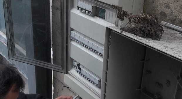 Palazzina con 16 appartamenti a Ponticelli, tutto abusivo: blitz dei vigili urbani