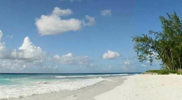 Bahamas, naufraghi sopravvivono per 33 giorni su un'isola deserta mangiando cocco