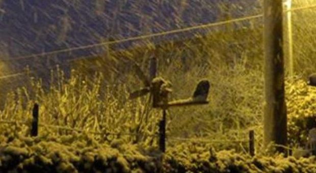 Nevica sul Carso: chiuse le vie Bonomea e Commerciale in discesa