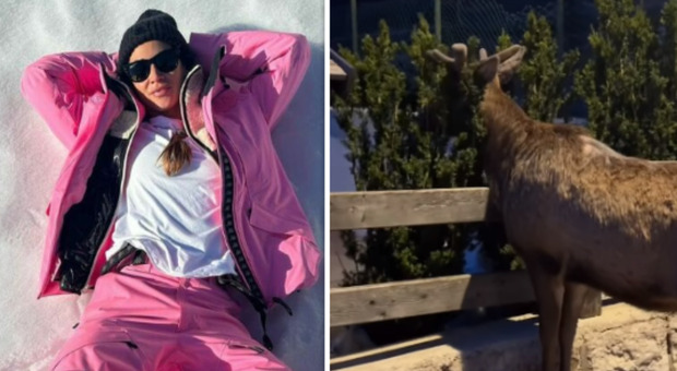 Melissa Satta: «Nuovi amici» e pubblica la foto di un cervo. Frecciatina social sulla neve