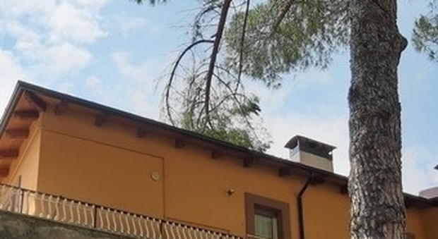 Il ramo caduto sul tetto