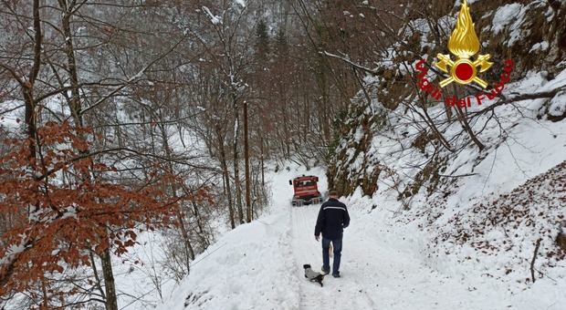 Emergenza neve nel Bellunese: tetti a rischio crollo, famiglia isolata, cane finisce nel burrone