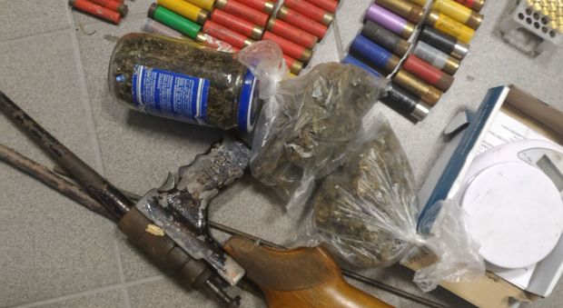 Armi, munizione e droga nel Parco del Vesuvio: operazione antibracconaggio della Forestale