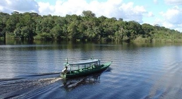 Il richiamo della foresta: bellezze incontaminate sul Rio delle Amazzoni