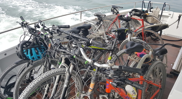 Troppi furti di biciclette: si sperimenta la targa