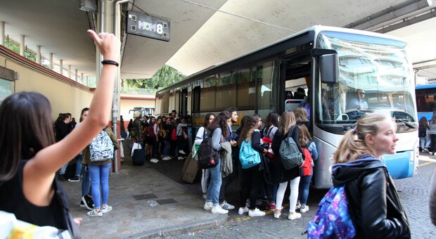 Sale sul bus della Mom senza biglietto a Treviso e dà in escandescenza: risarcimento da quasi 6mila euro per il controllore aggredito
