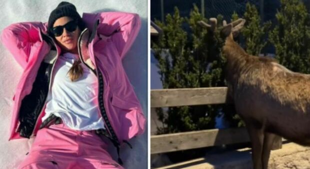 Melissa Satta in vacanza sulla neve pubblica la foto di un cervo: «Nuovi amici». Frecciatina a Berrettini?