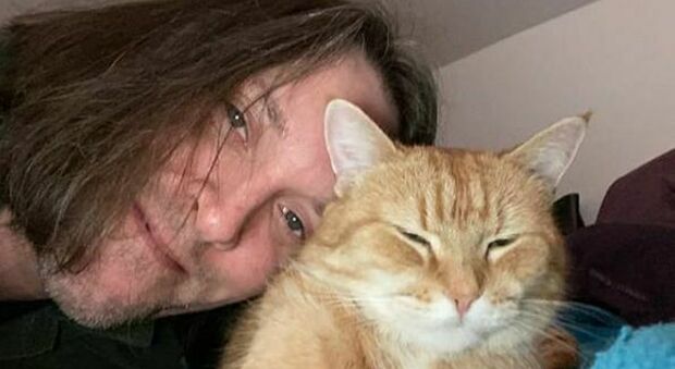 "A spasso con Bob", il padrone accusato di truffa dopo la morte del gatto: cosa è successo