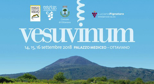 Vesuvinum, per assaggiare vini e prodotti del territorio, tra mostre e turismo