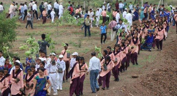 India, piantati 66 milioni di alberi in 12 ore per difendere le risorse della Terra
