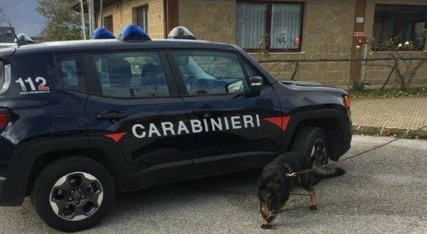Blitz antidroga dei carabinieri in un centro accoglienza minori