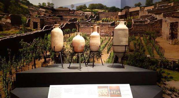 Dopo aver conquistato l'Australia i tesori del Parco Archeologico di Pompei rientrano in Italia