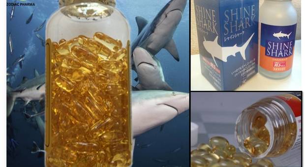 Le pillole di squalene, derivanti dall'olio di fegato degli squali, sono vendute anche nei Paesi occidentali, Italia compresa. (immagini tratte da siti commerciali quali Zodiac Pharma e italian alibaba.com)
