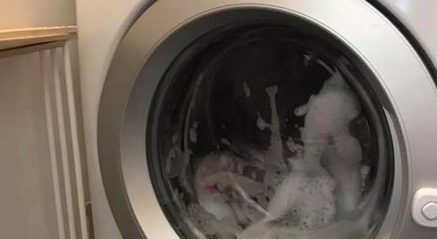 Fa partire la lavatrice e non si accorge che c'è il figlio dentro: bimbo trovato morto