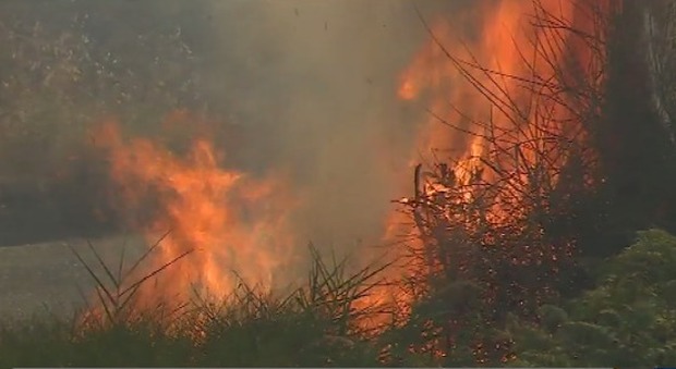 La Calabria continua a bruciare Più di duecento incendi in 24 ore
