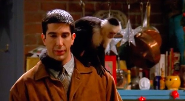 La scimmietta di Friends appare in un film su Netflix, i fan la riconoscono: «È proprio lei»