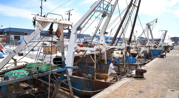 Il ritorno in mare dei pescherecci marchigiani (con l’incubo del costo del gasolio) tra il 12 e il 21 settembre