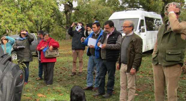 la visita dei coltivatori cileni nell'azienda Longinotti di Ronciglione
